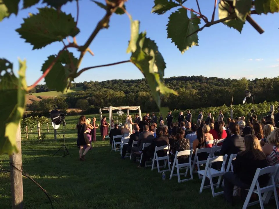 Wedding 6.jpg