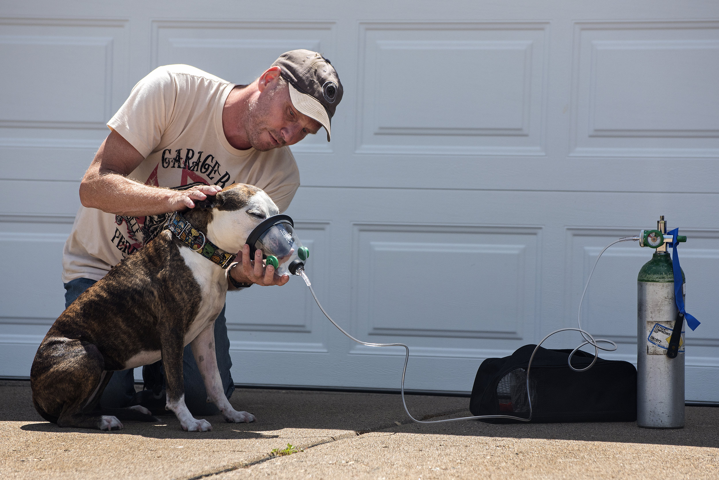  Ron Bristol cares for Lucy after the dog was rescued by firefighters from a house fire June 21 on 19th Avenue in Moline, Illinois. Bristol, a neighbor of the Carr family whose house caught fire, said Lucy was located in the basement of the home. Jim