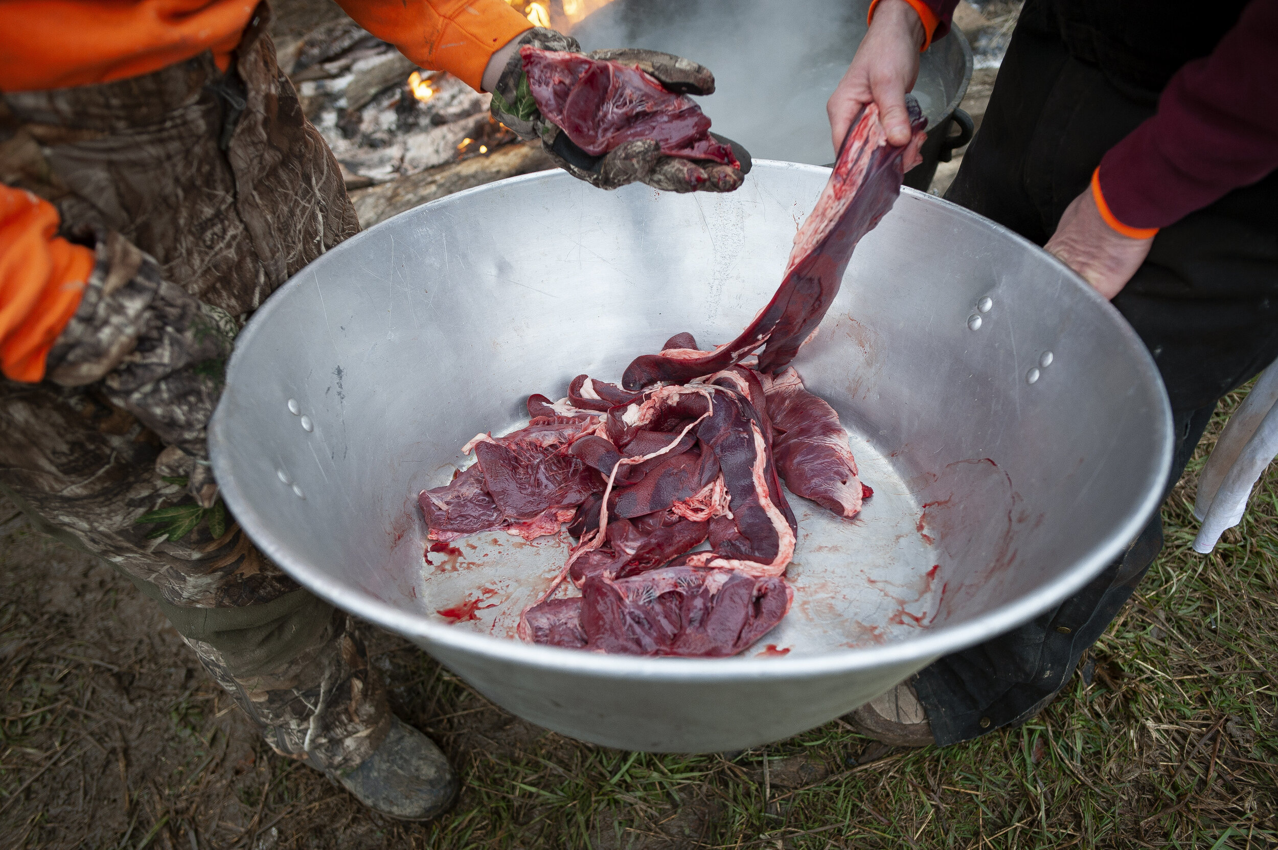  Avoiding hog splines, Adam Hotop, 15, (left) and Pat Hotop put hog hearts and livers into a cooking pot.  