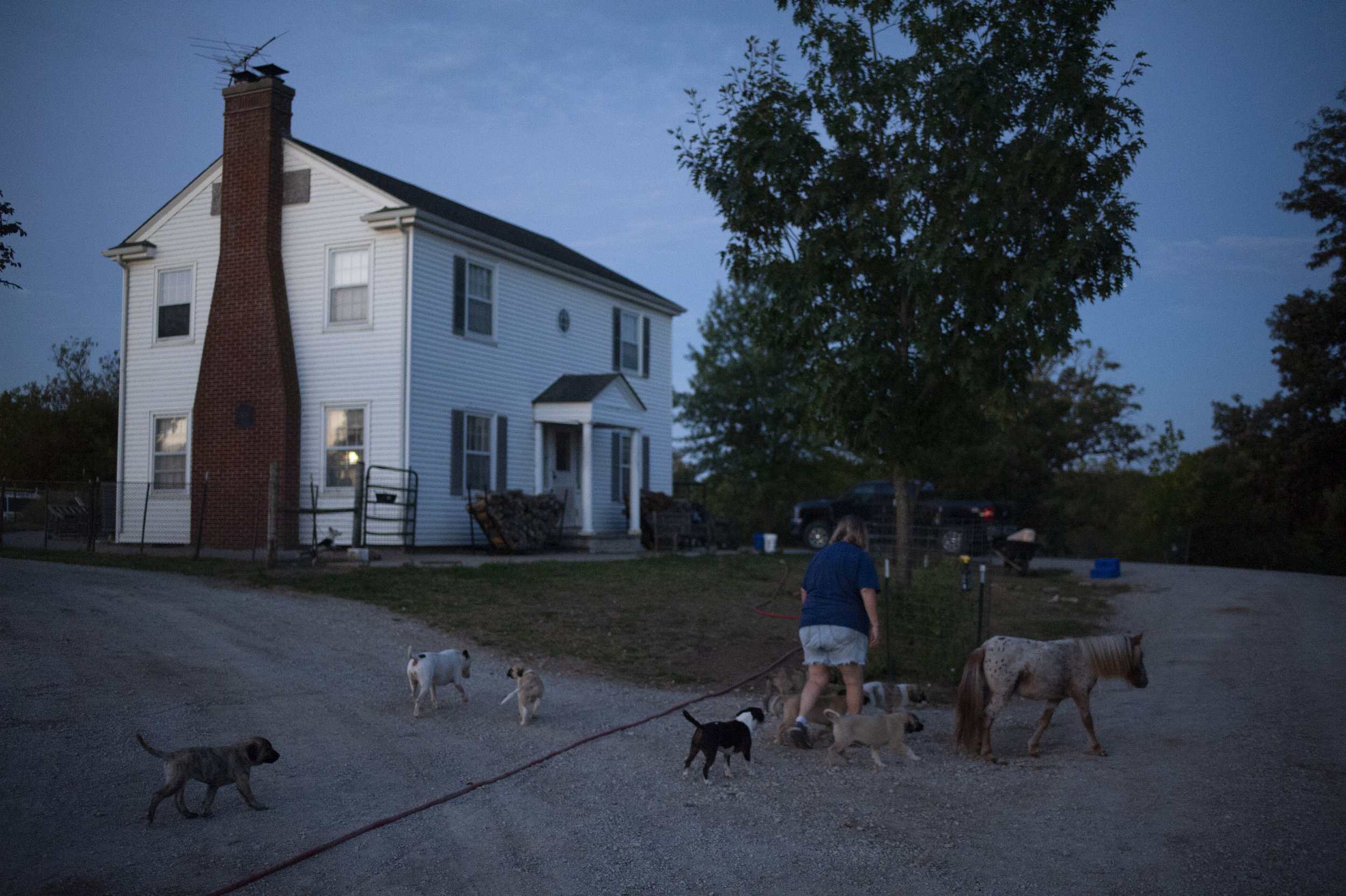  Accompanied by numerous animals, Mary Roelofsz tends to the morning’s tasks at Dreamers' Farm outside of Excelsior Springs, Missouri. The dreamers mentioned in the name of the 45-acre farm north of Excelsior Springs are Mary and her mother, Bea Roel