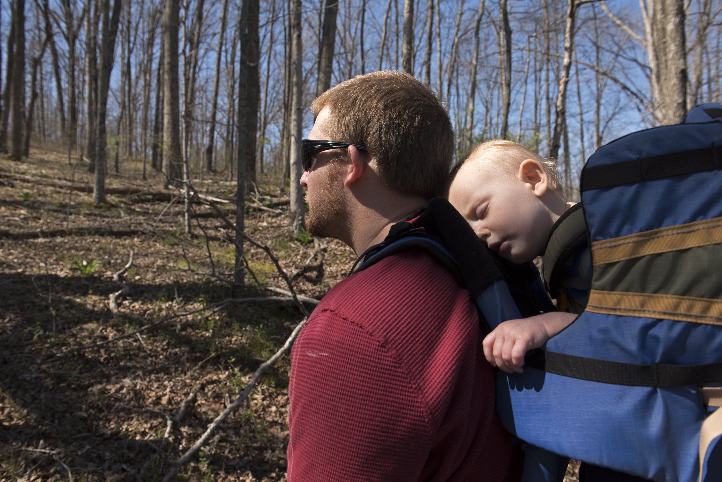  Justin Allen hikes while his son Theodore Allen, 11 months, sleeps on Trillium Trail during a session of “Backpacking Baby,” a group that meets every month to hike with their babies, April 3 in Giant City State Park in southern Illinois. Nicole Alle