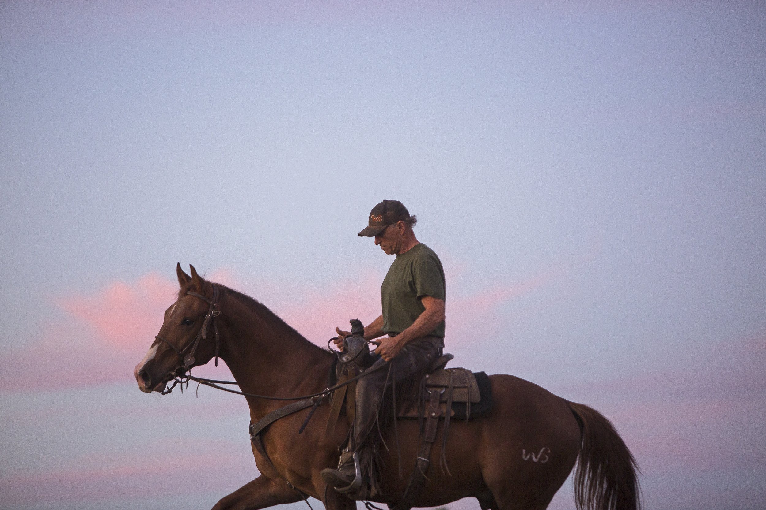 “I’ve just been crazy about horses my whole life,” said Nathan Jones, founder of Wild Serenade Ranch in Pike County, Indiana. “Even still yet today, I just love a horse and I always will.” Jones shoes and trains horses and raises longhorn cattle on 