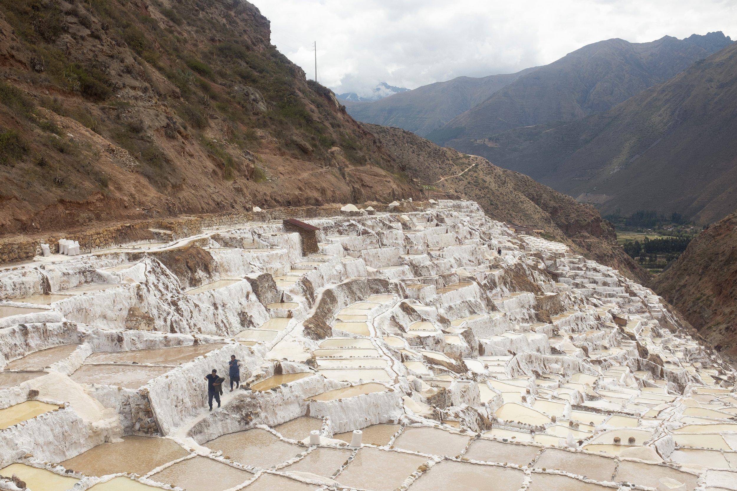 230905-Peru-003-JW (1).jpg