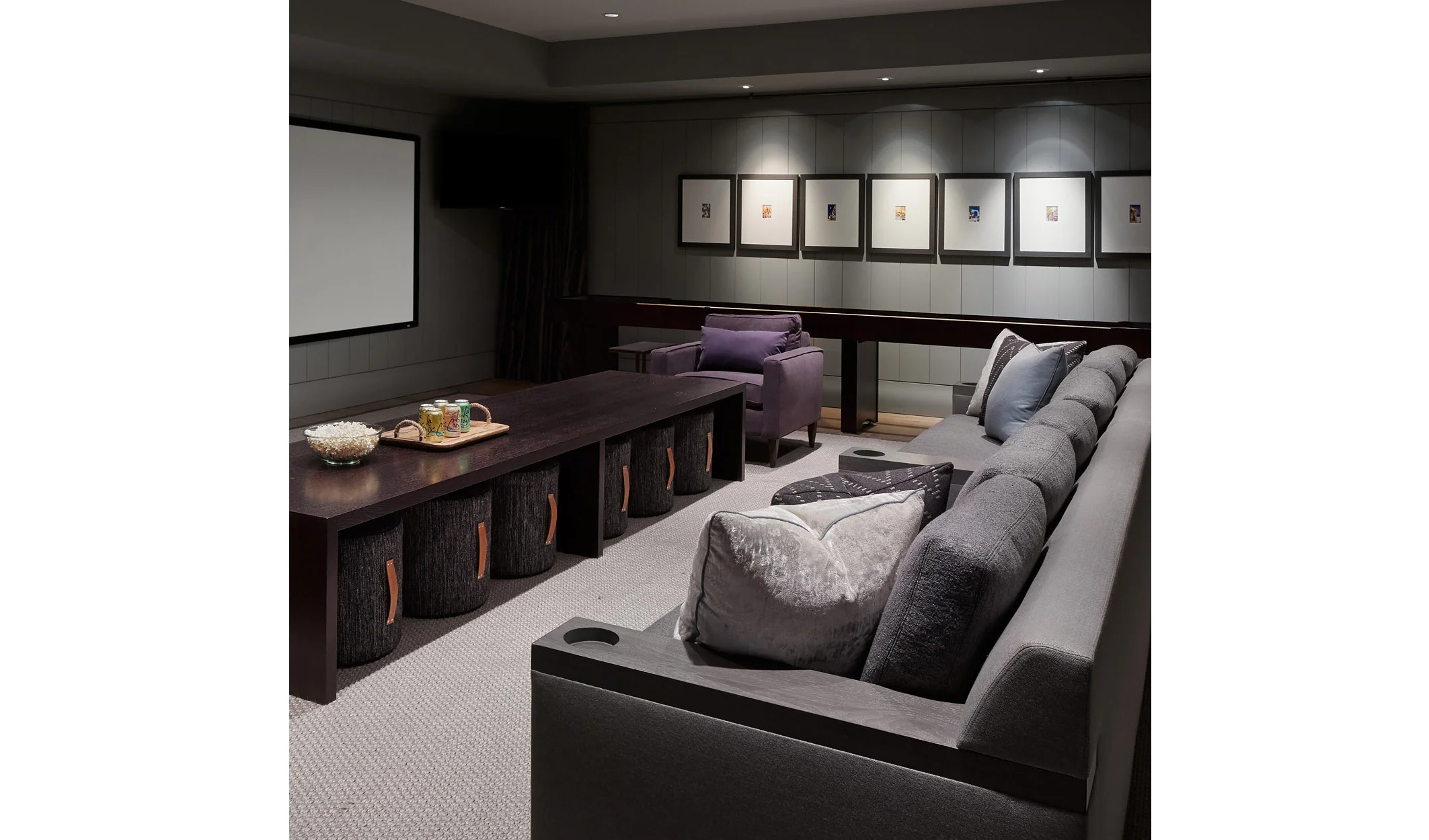 Spaces Galassi media room.jpg