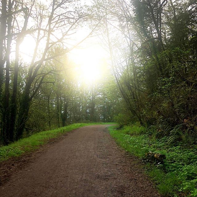 Sunday forest therapy
.
.
.
#portland #forest #forestpark #oregon #exploreoregon #pacificnw #pacific #therapy #sunshine #girlswhohike #womenwhohike #optoutside #getoutside #freedom #solo