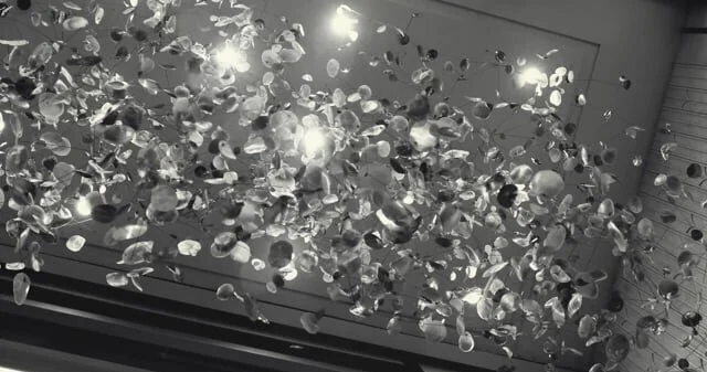 Tiffany & Co Toronto (Copy)