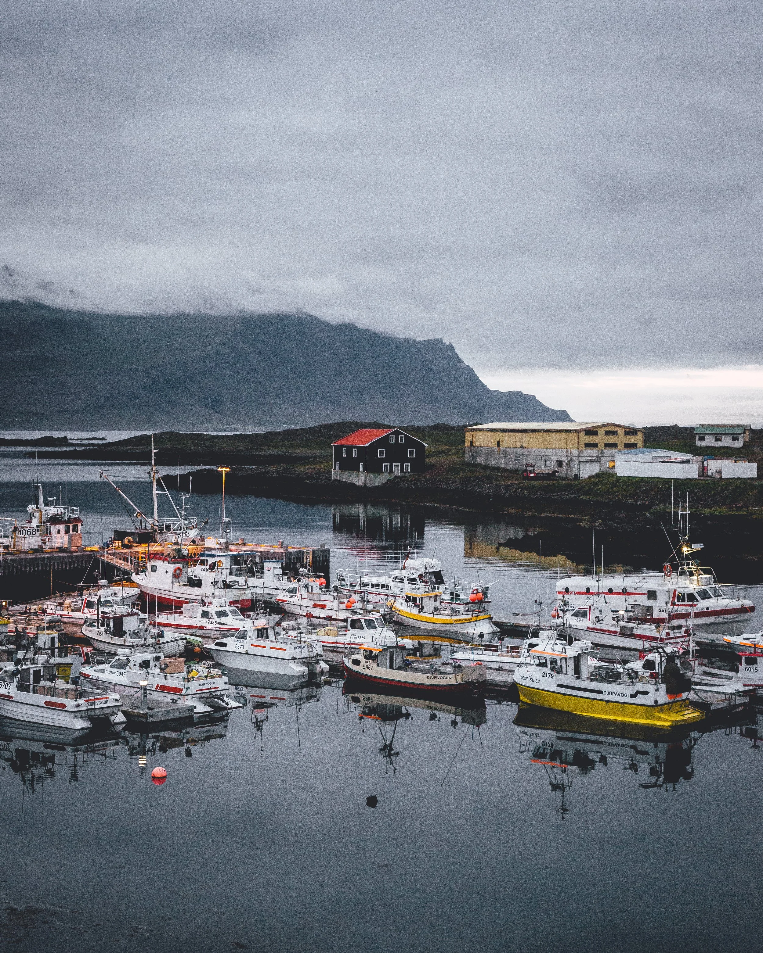 djupivogur copy.jpg