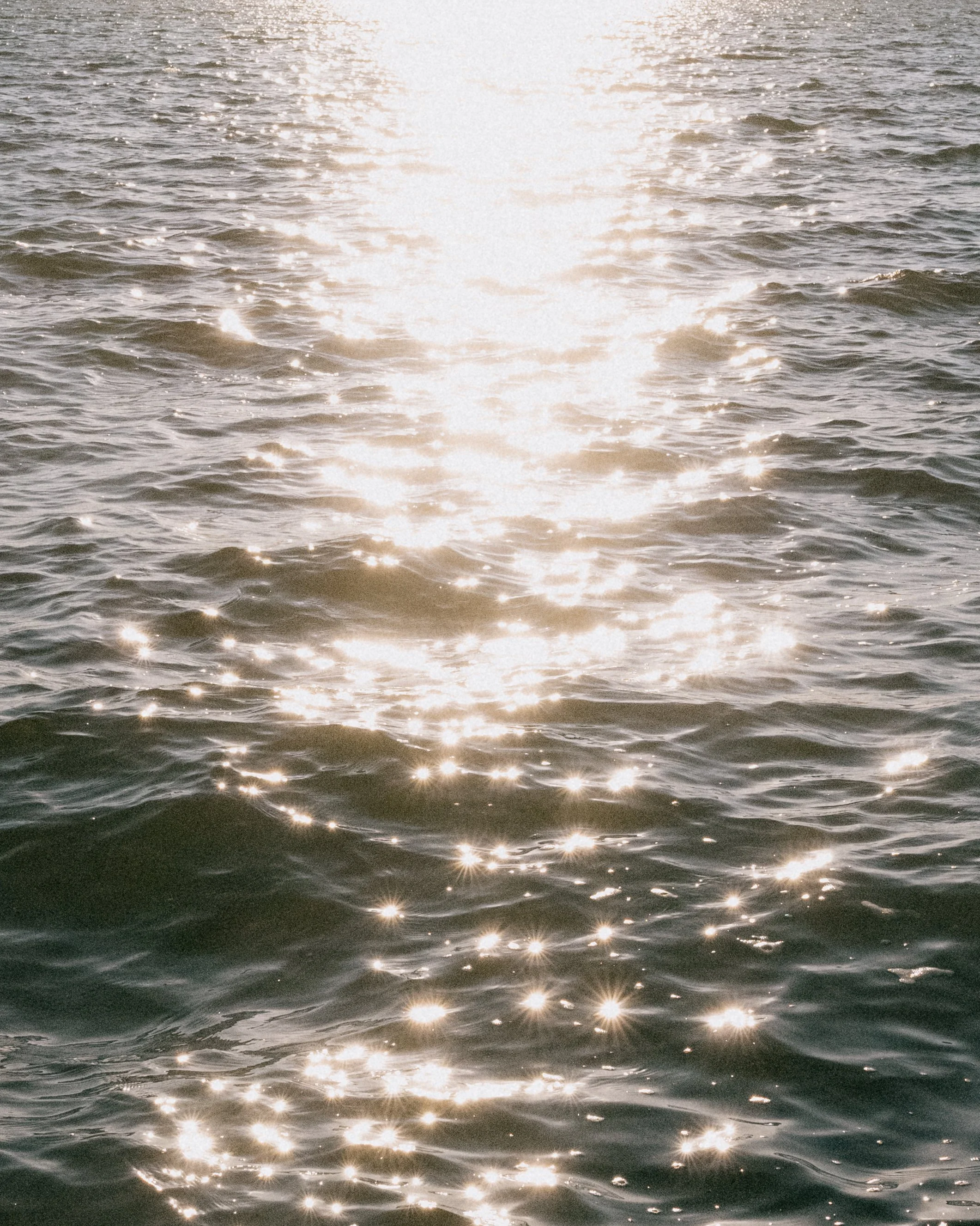 L1070564.jpg