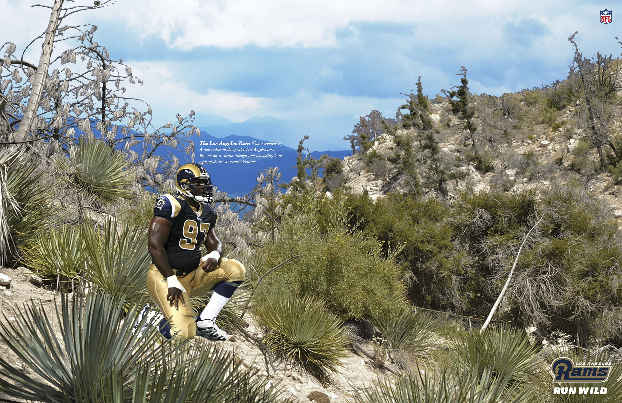 Call of the wild final 1.jpg