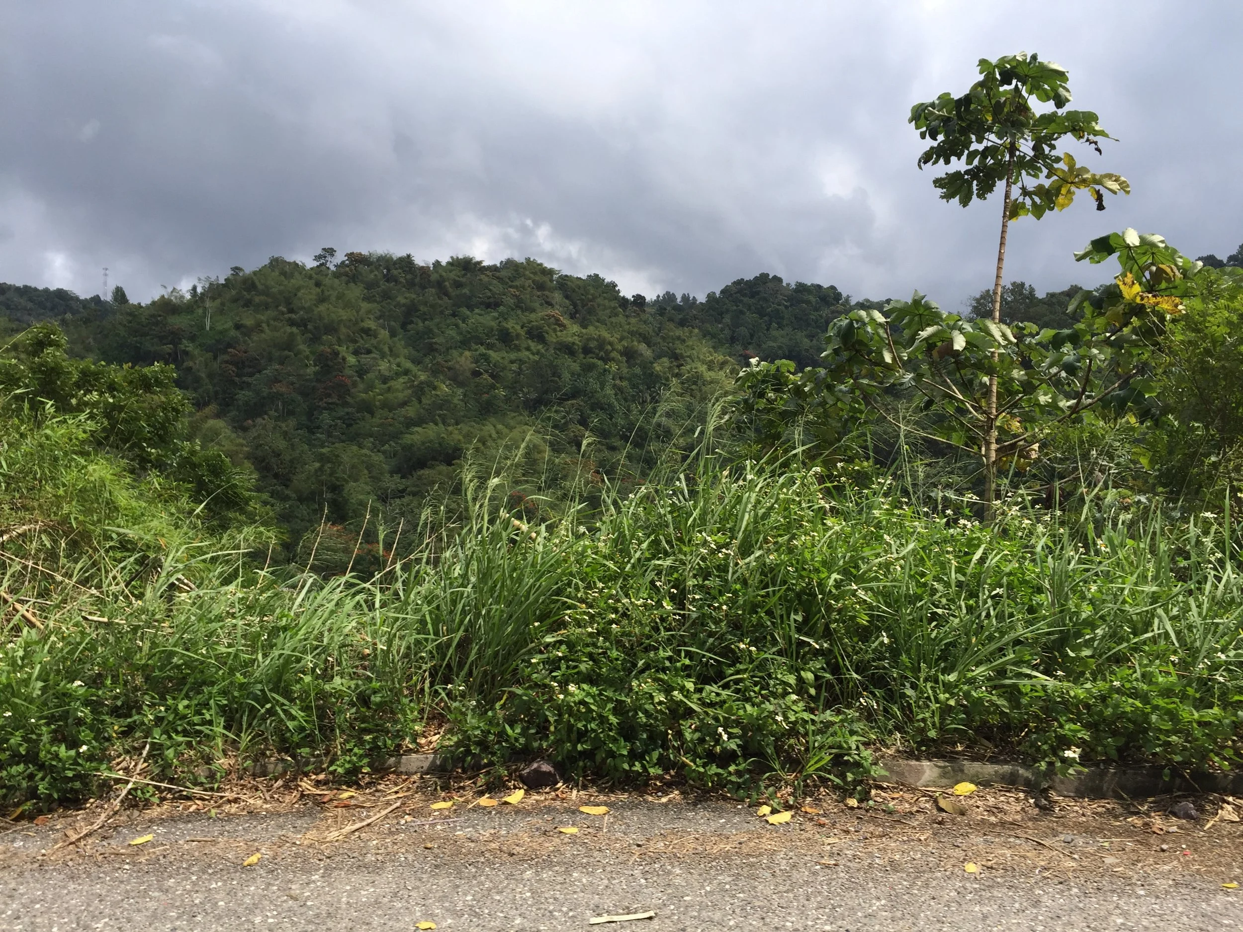 Travel Guide; Kingston