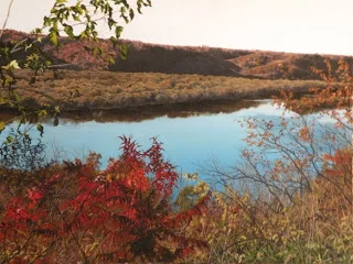 Cathy Martin – "All Roads Lead to the Mississippi"