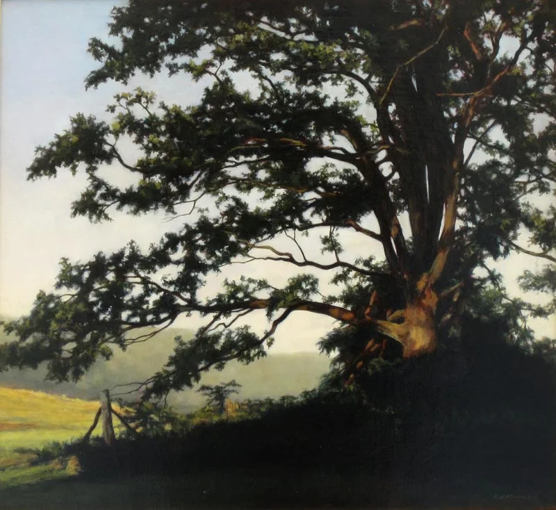 Kathy Hofmann – “Oak Tree”