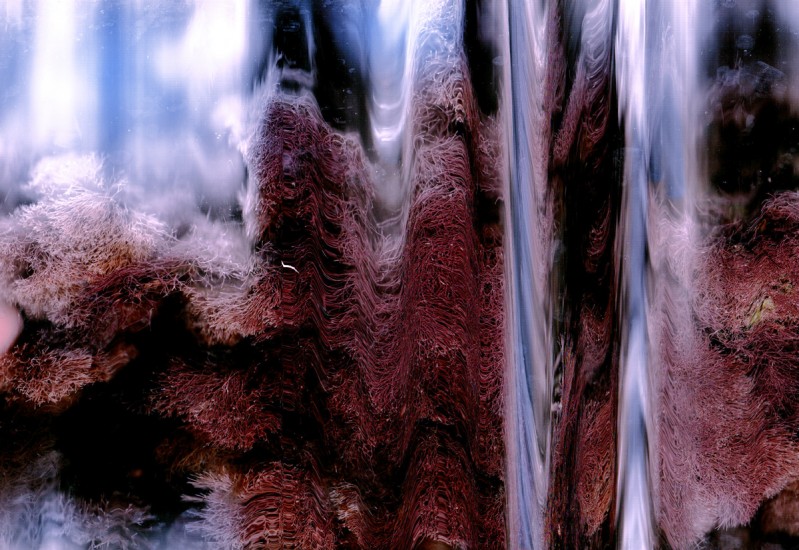 Nathaniel Stern, SOFT, Digital Print on Metallic Paper, 8 1/4 x 12"