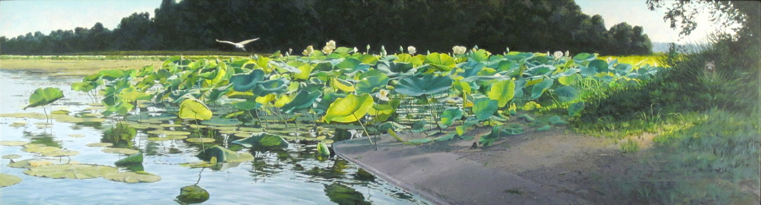 James Winn, LOTUS LILIES NO. 28, Acrylic on Panel, 12 1/2 x 48"