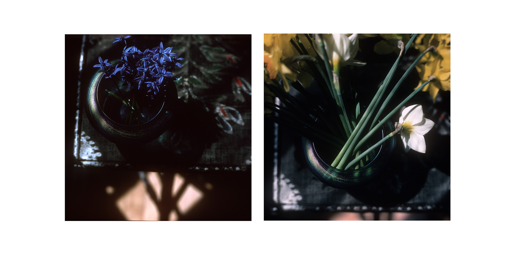 my father's daffodils_diptych.jpg