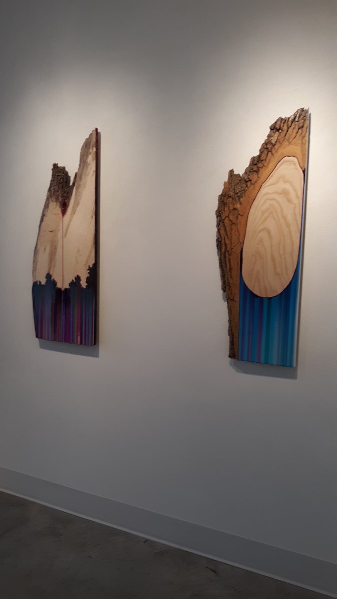 From the CHROMA exhibit. Photo taken January 4th, 2020 by Catherine Jozwik.