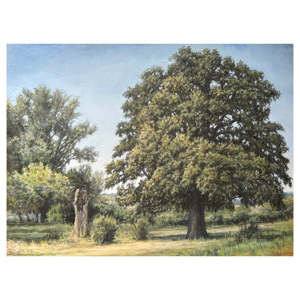Homepage-realism-hofmann.jpg
