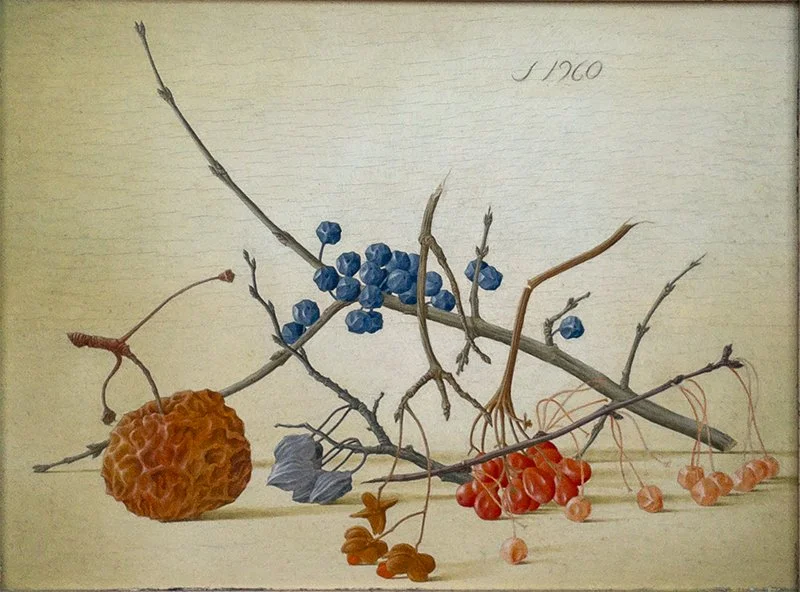 Wilde-frugile-fruits-of-winter-oil-on-panel-1960-8x10-W.jpg