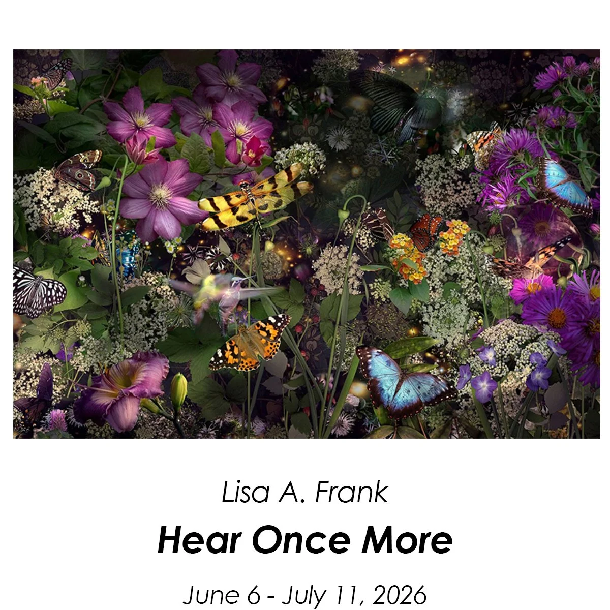 Homepage-frank-1.jpg
