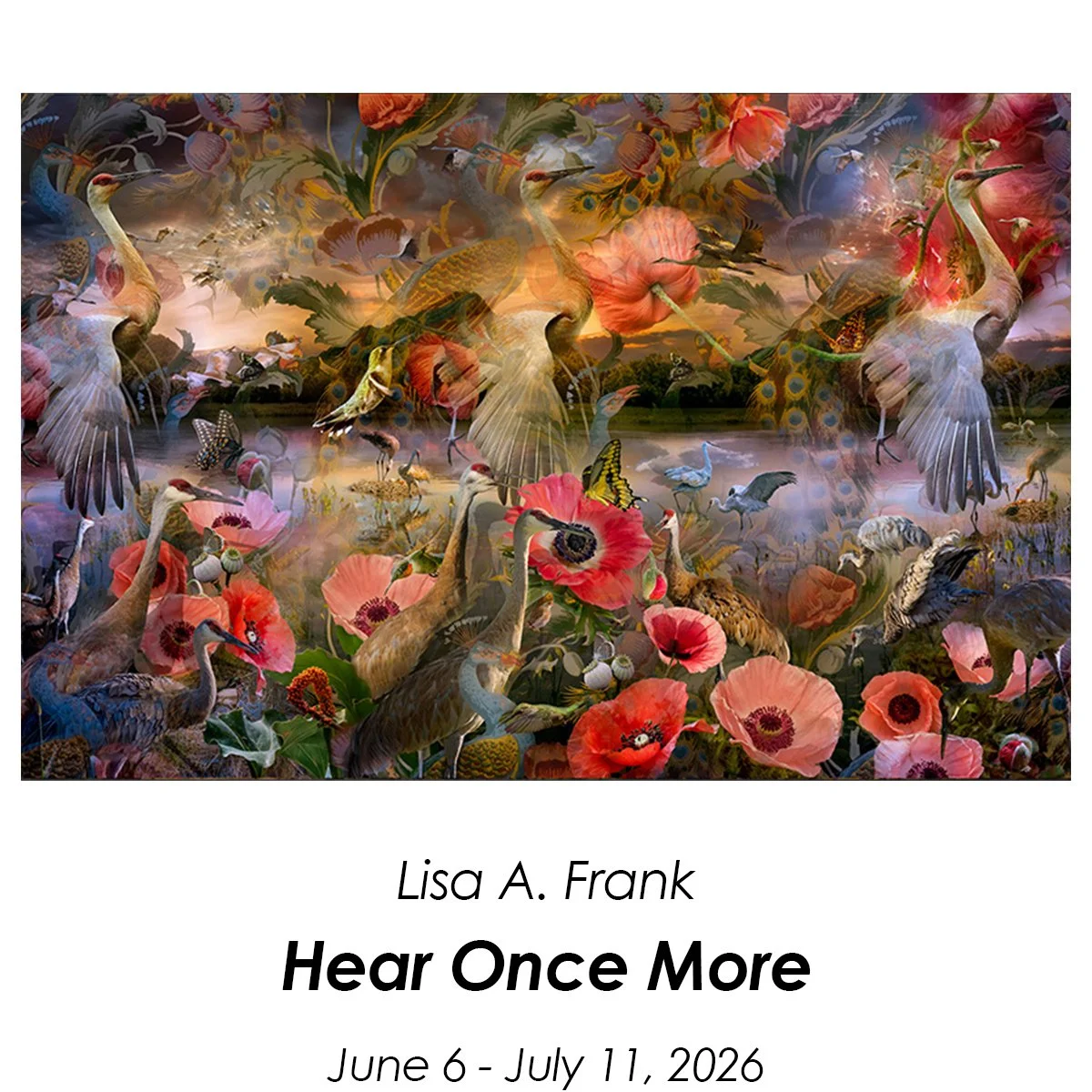 Homepage-frank-2.jpg