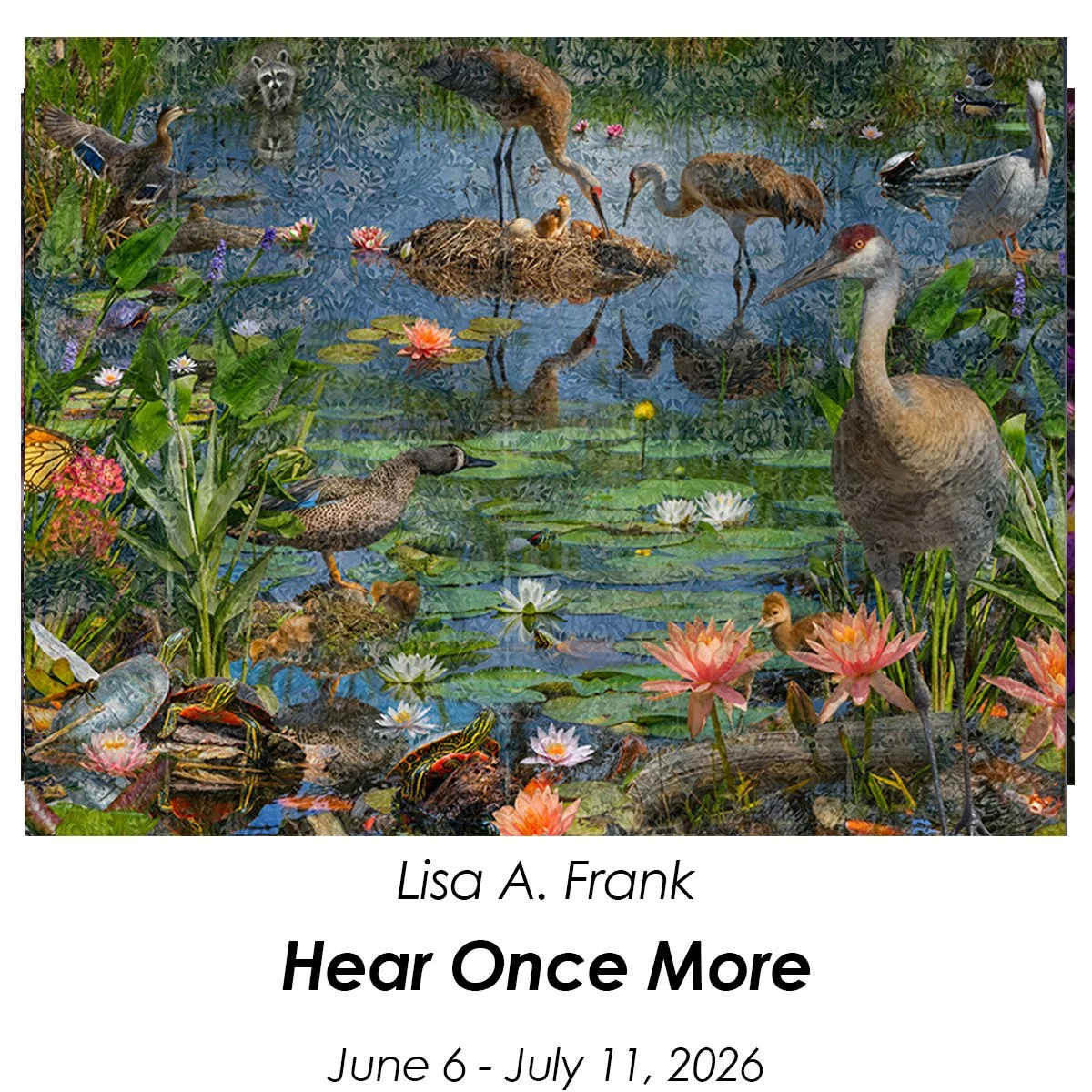 Homepage-frank-3.jpg