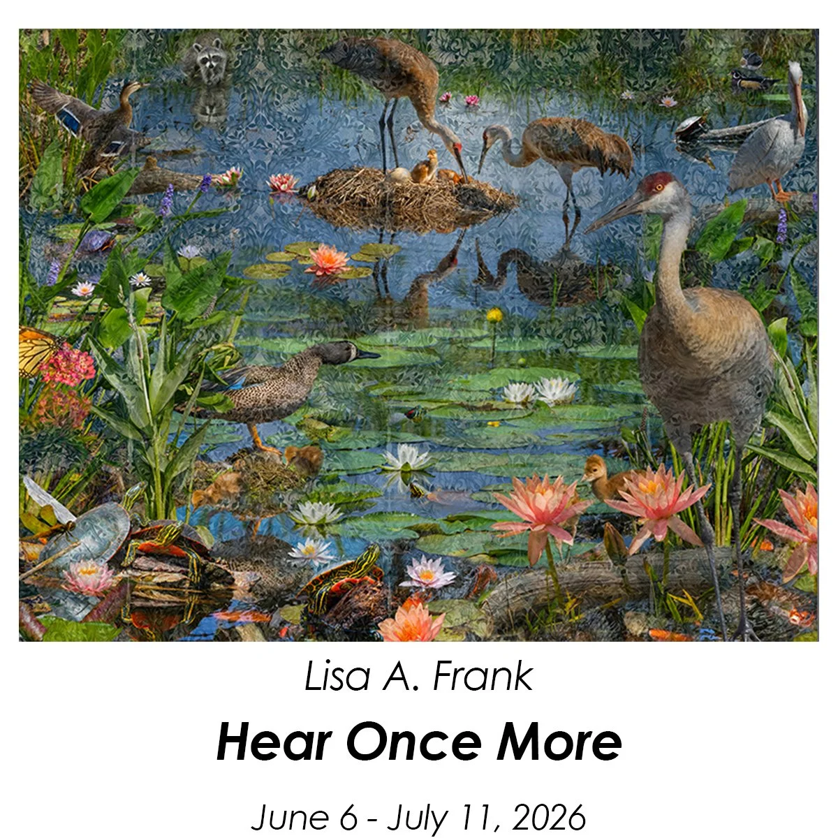 Homepage-frank-3.jpg