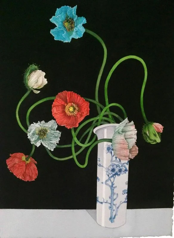 PAPAVER, Watercolor on Paper, 30 x 22" (Image), 40 x 32" (Framed)