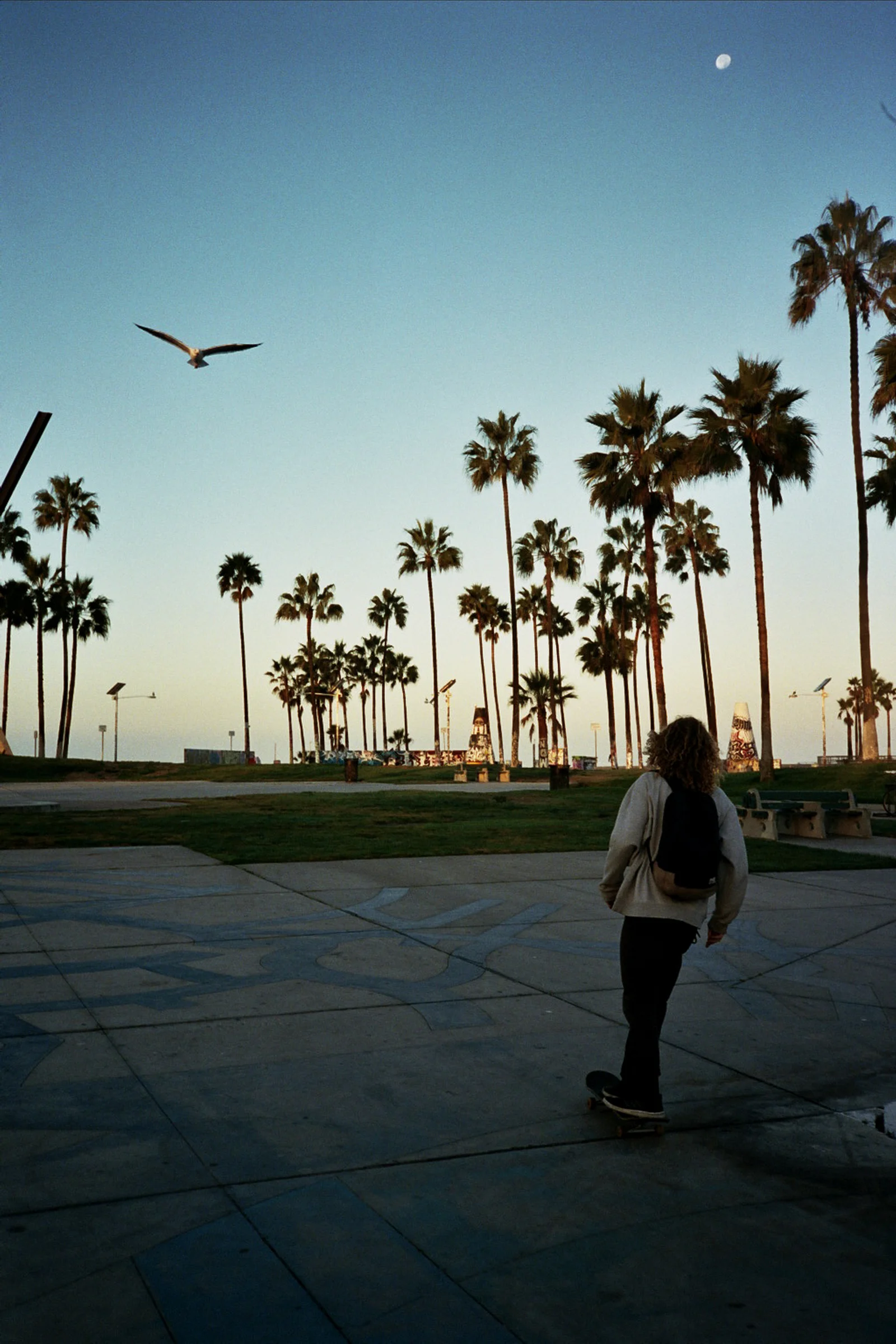 19A_0284.jpg