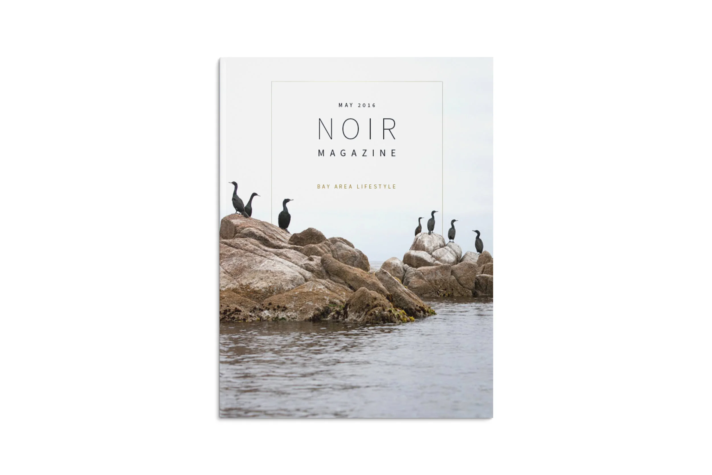 noir cover .jpg