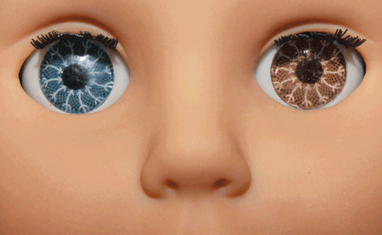 The Bluest Eye_Cover.gif