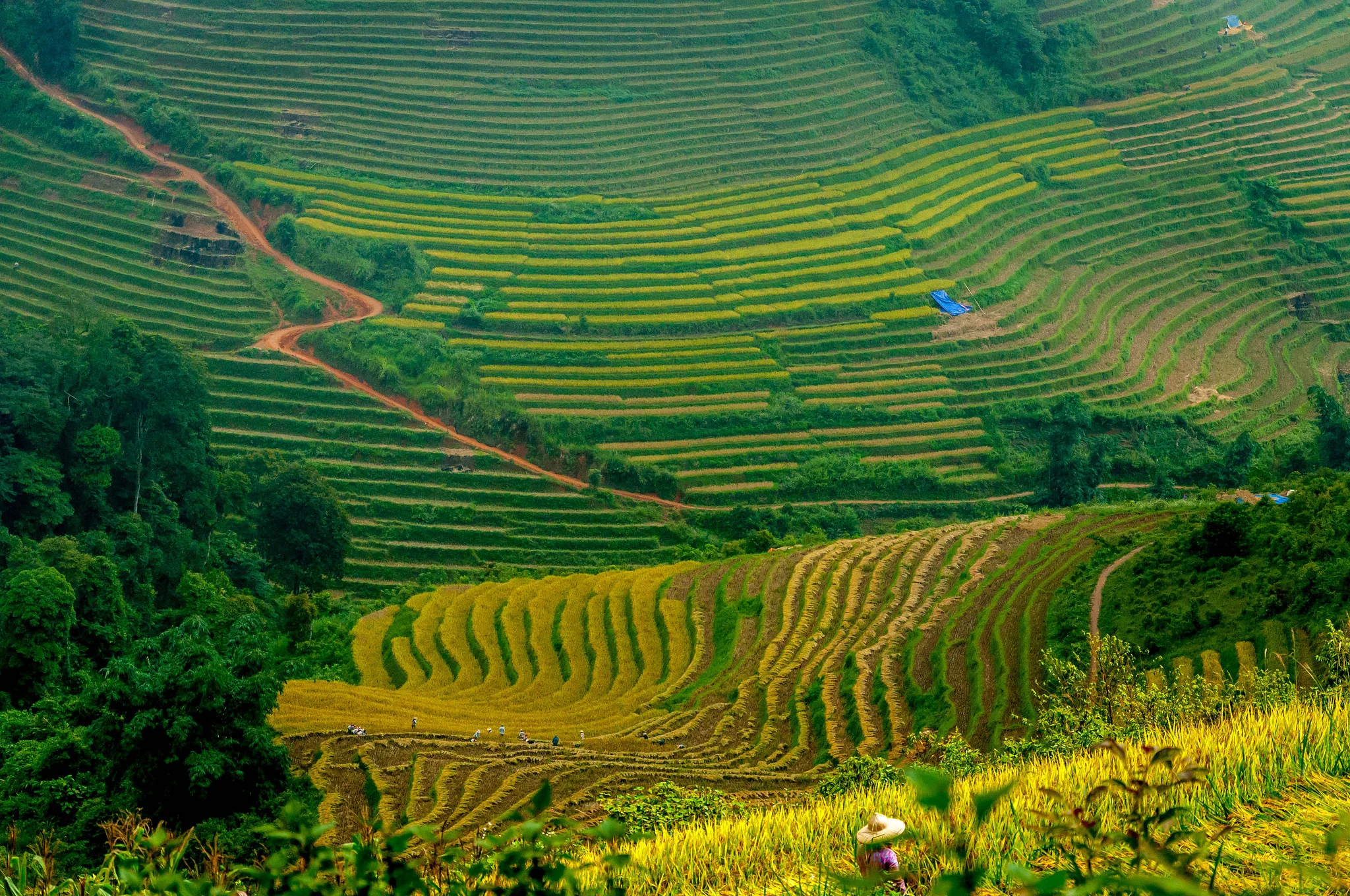 PHoto: &nbsp;Eustaquio Santimano on  flickr  (CC)