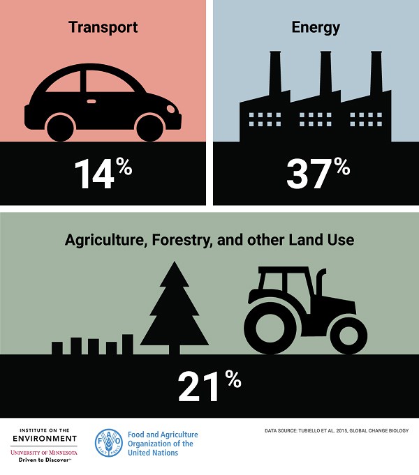 source: "How Does Agriculture Change Our Climate?" www.environmentreports.com/foodmatters/