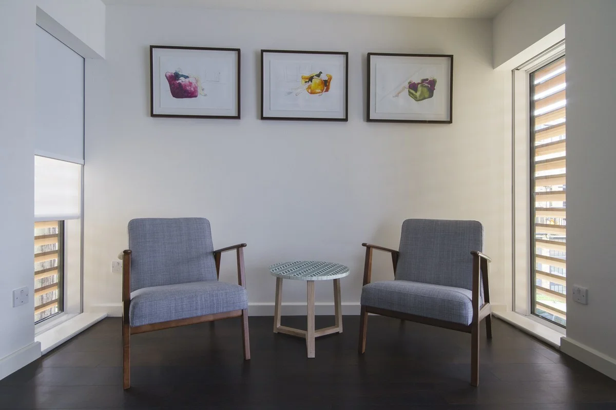 Studio with concealed dual blinds