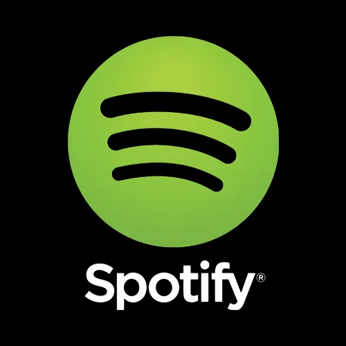 Website Services Spotify.jpg