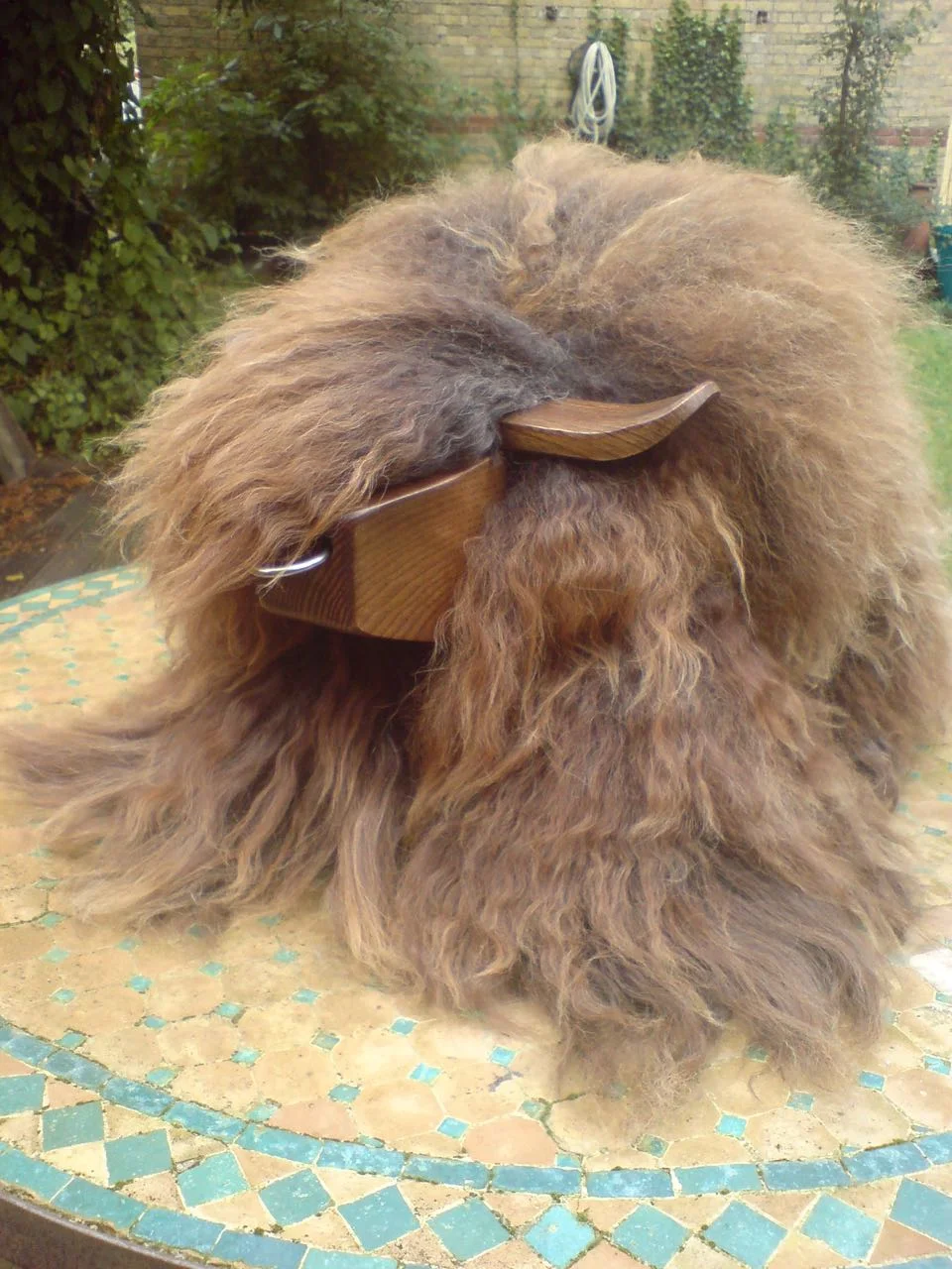 Rare breed sheepskin has been used to create this fab beast