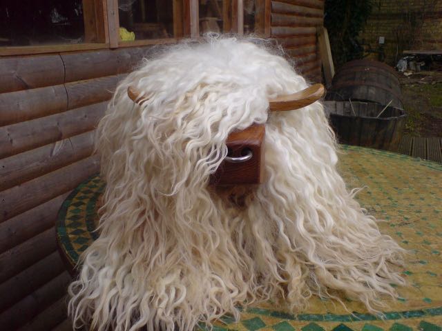 Another of the stunning sheepskins from Nicky Port.The best tannery in the country IMHO