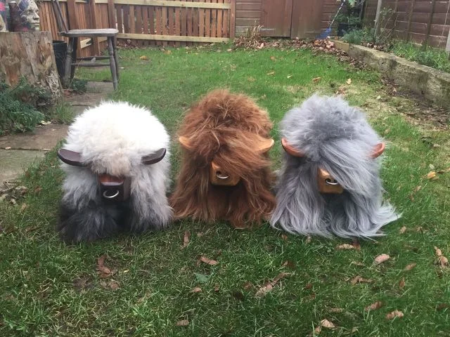 Icelandic sheepskin makes the two on the right look like Rock Stars 