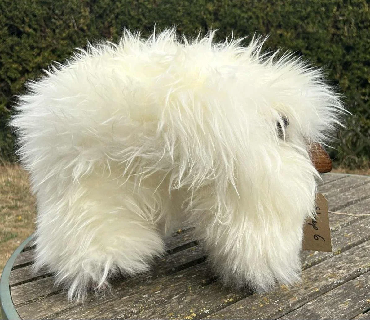 sheep 6 1.jpg