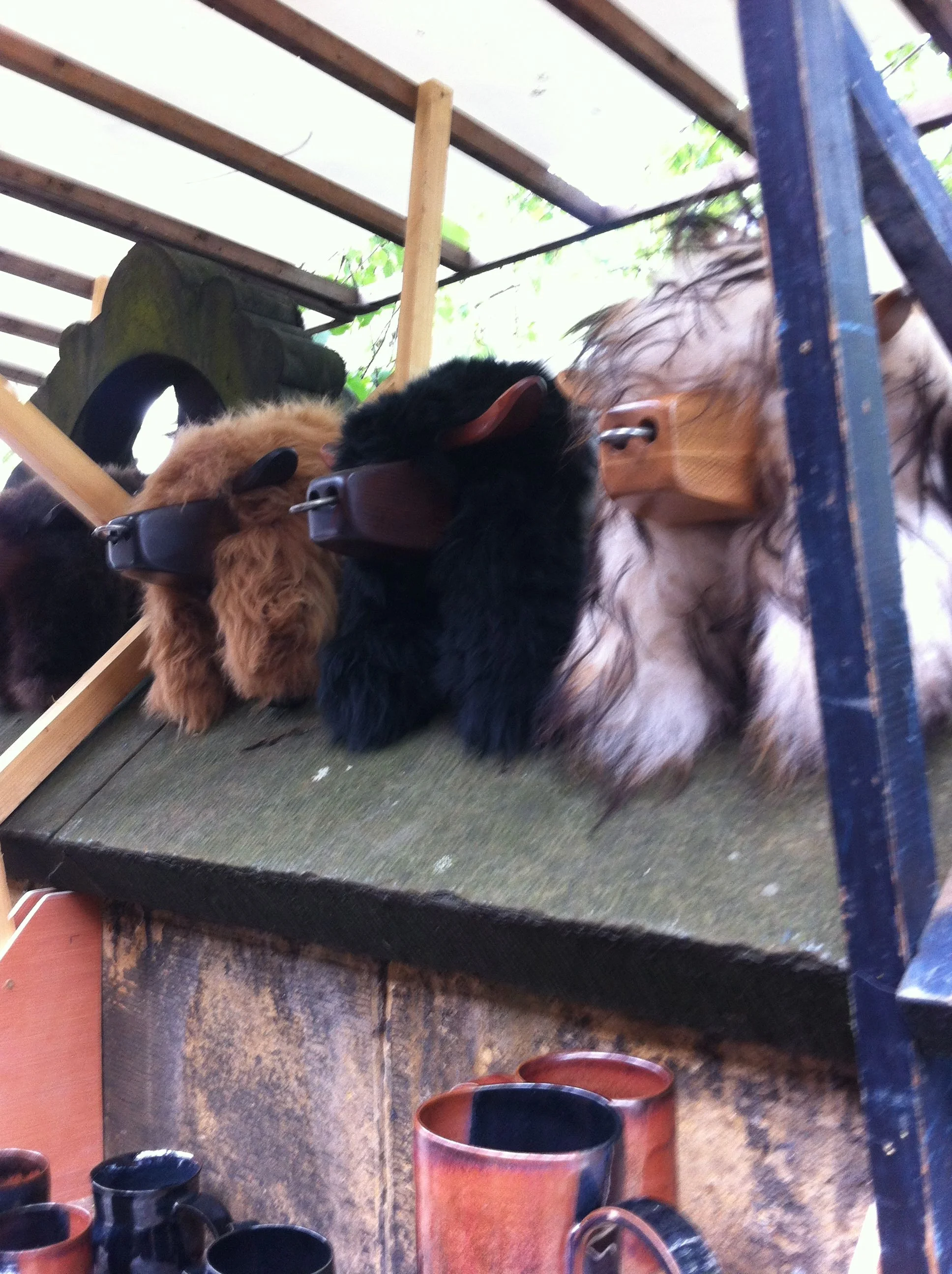 Bulls and pots will balance on the walls