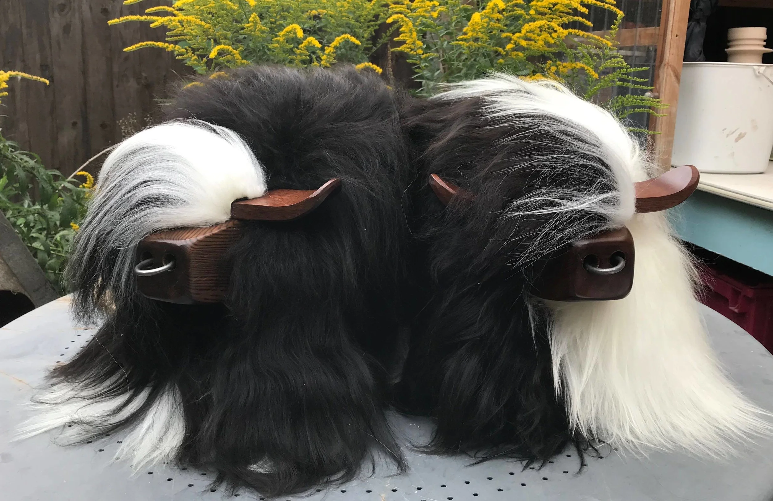 twins.jpg