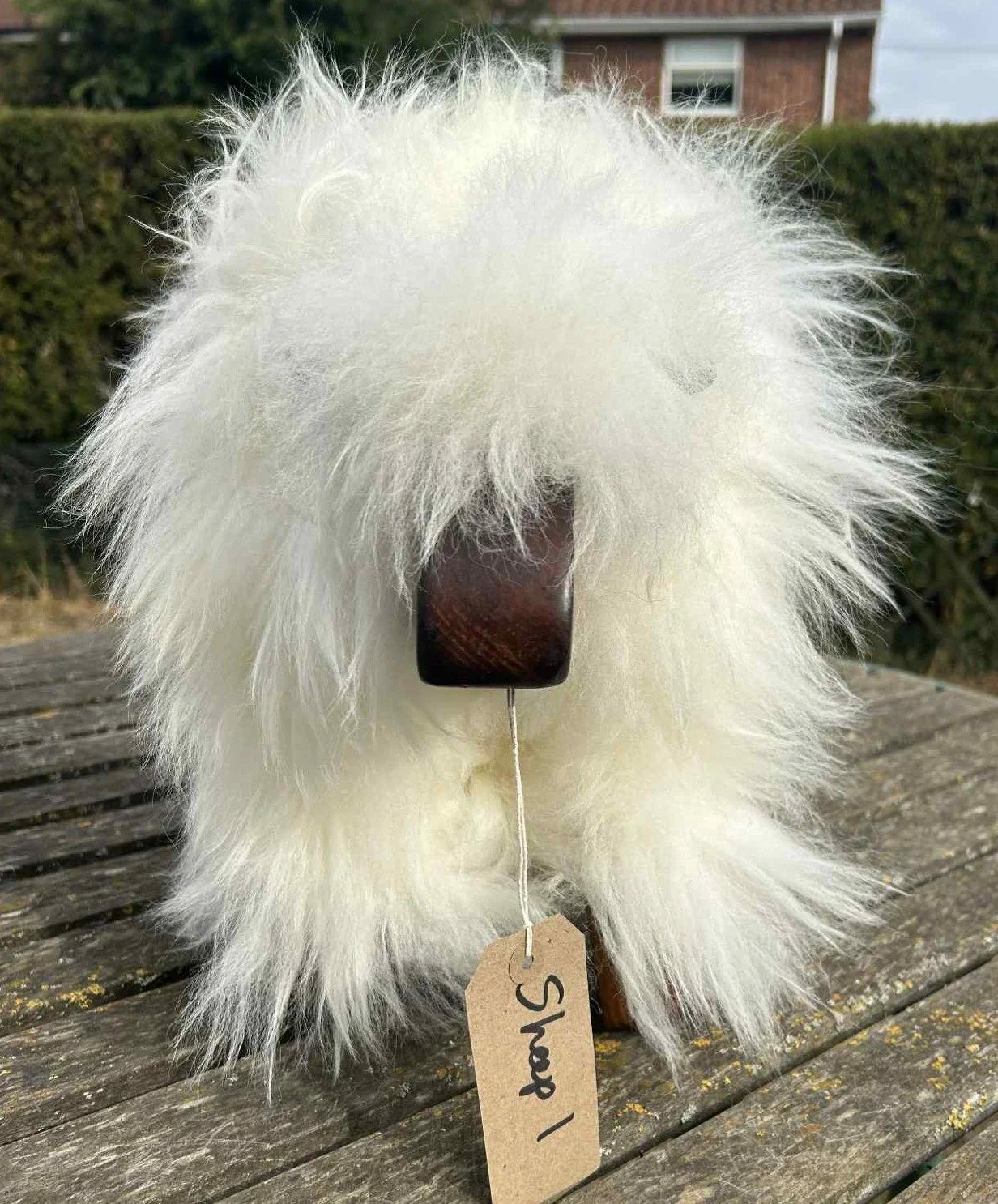 Sheep 1.jpg