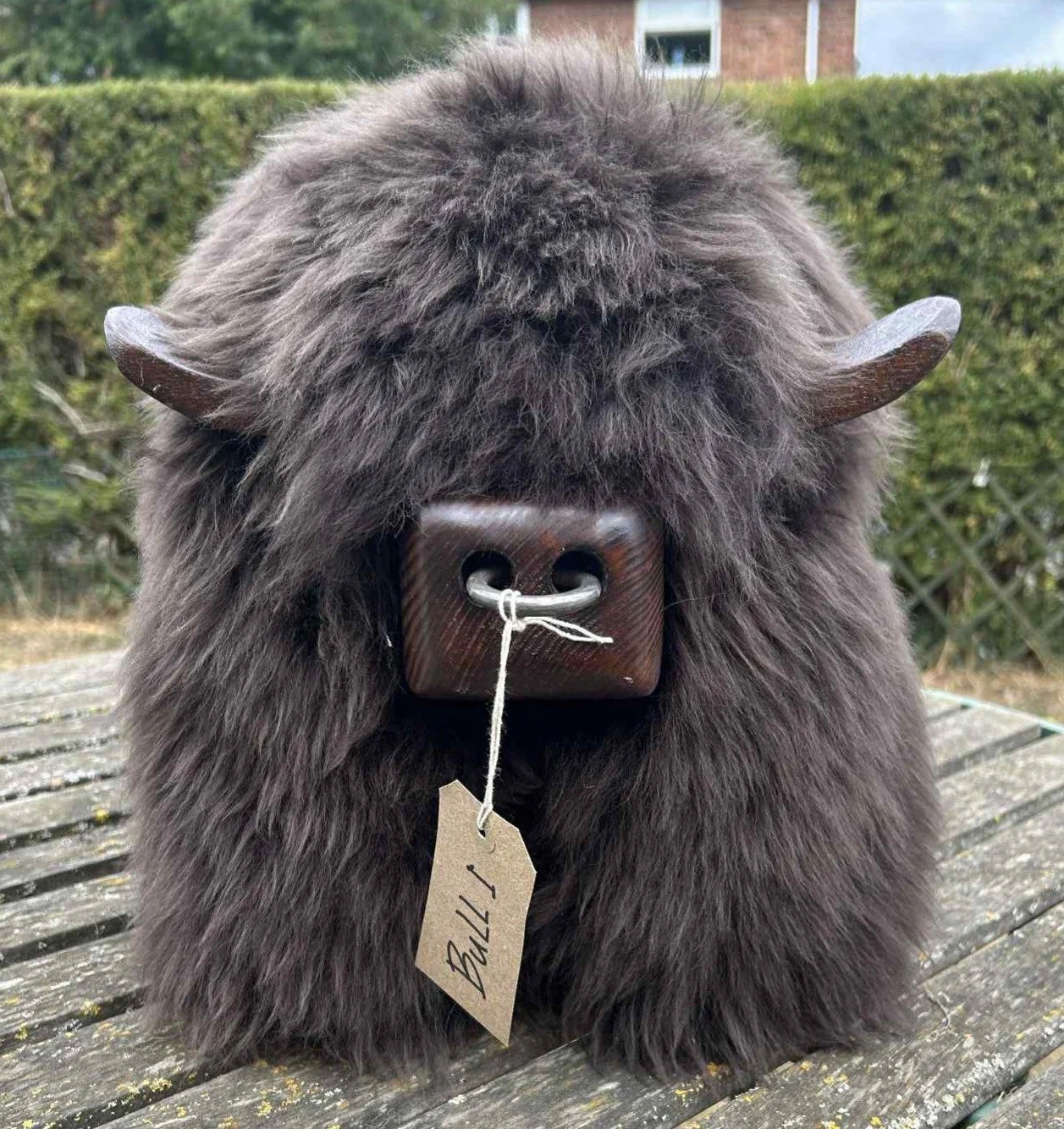 Bull One.jpg