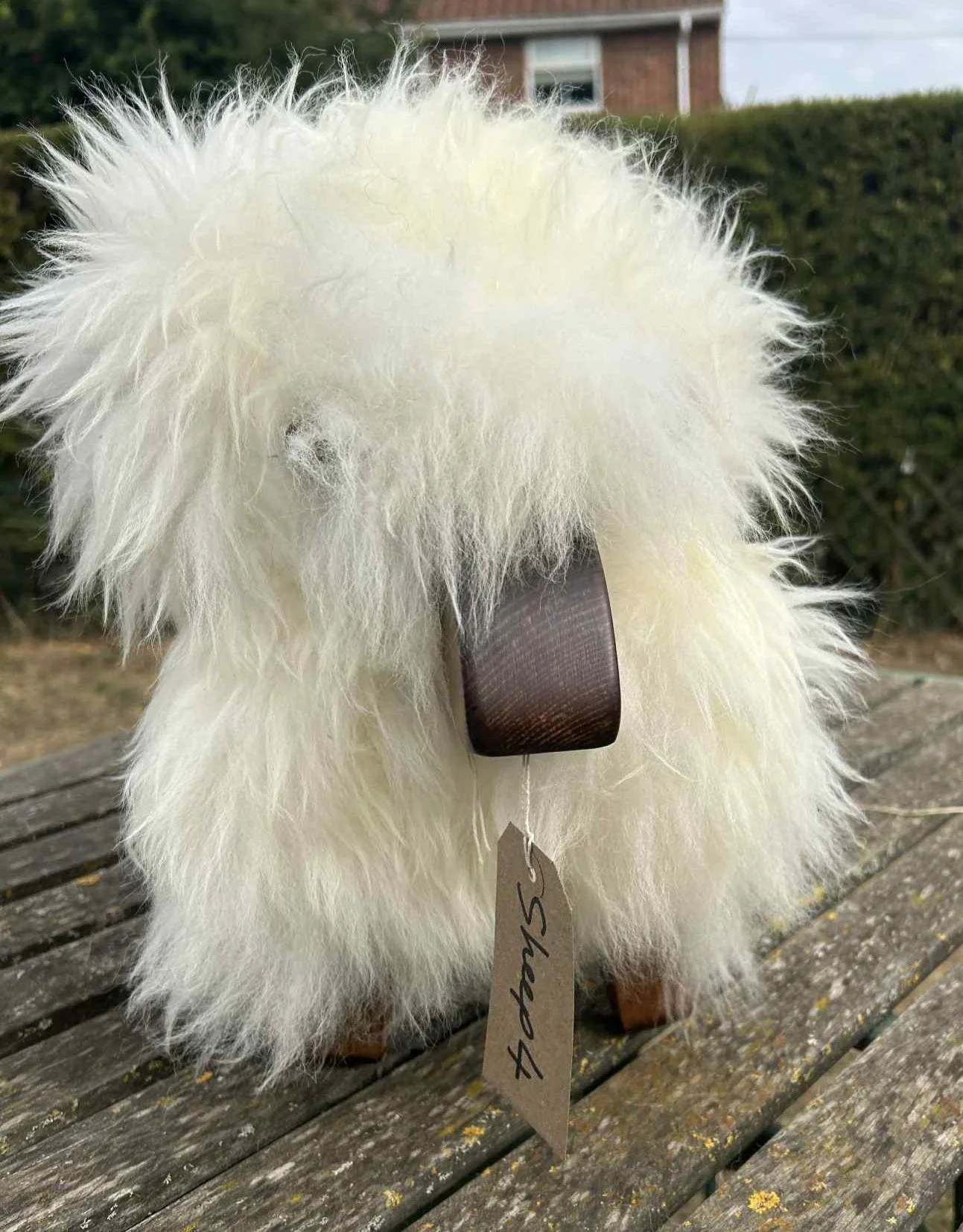 sheep 4.jpg