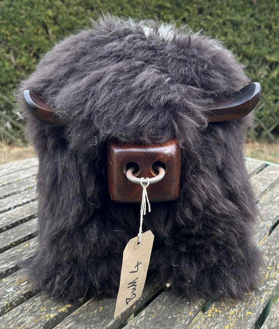 Bull Four.jpg