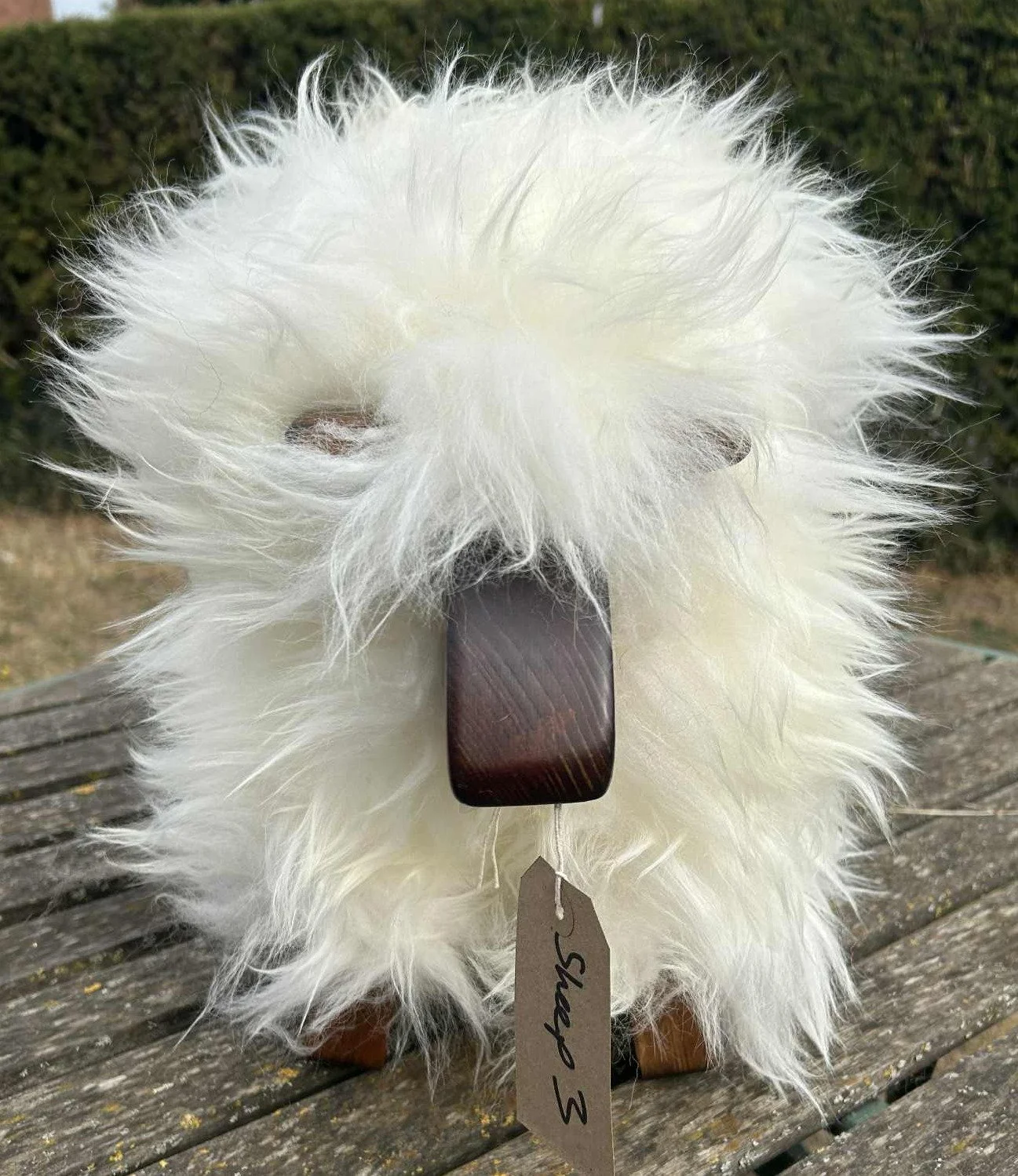 sheep 3.jpg