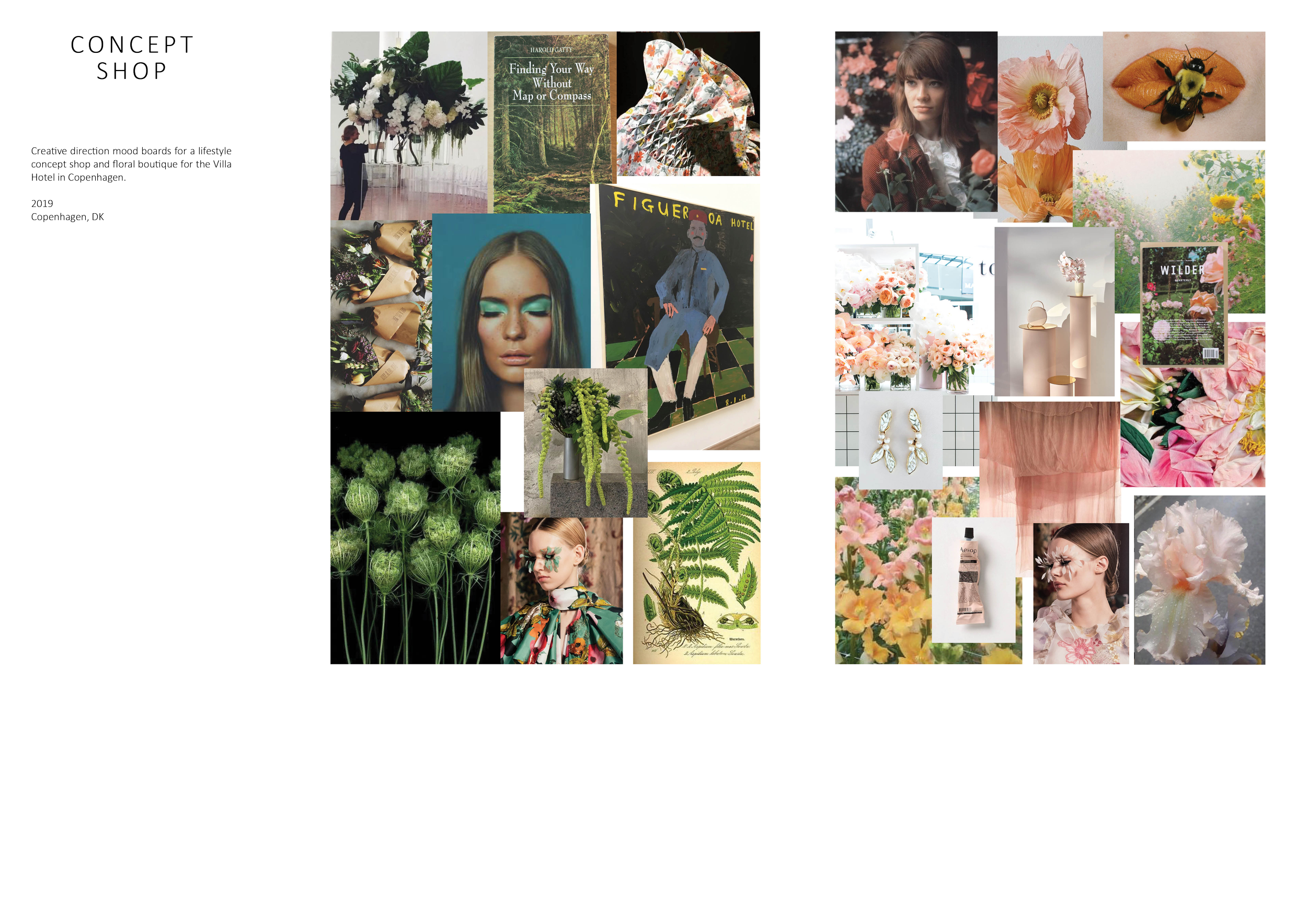 Concept Shop Portfolio2.png