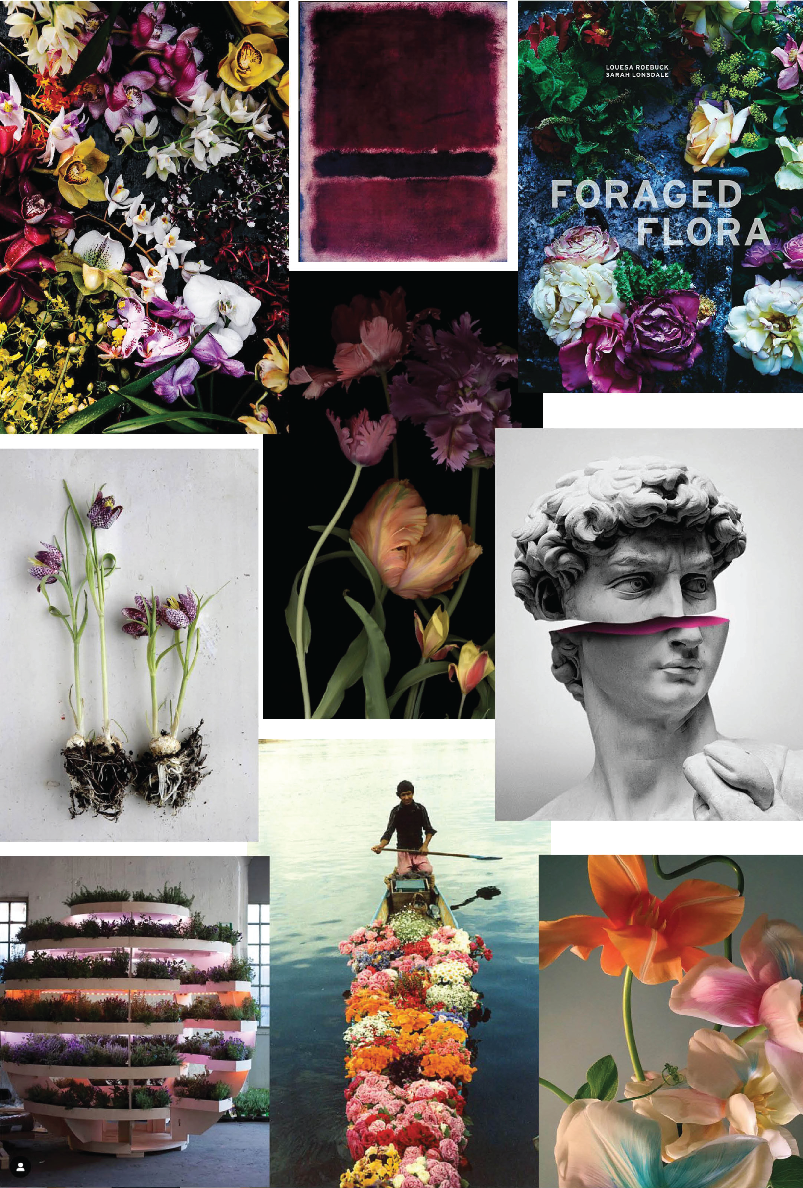 Villa Media Image.png