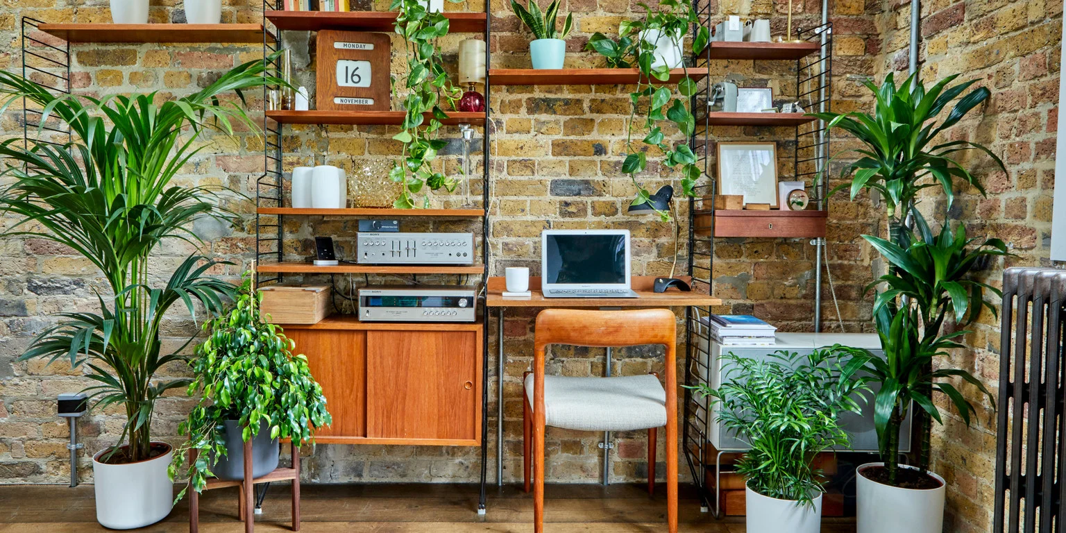 5 brands who prove every business can matter in 2019 👊🧠❤️