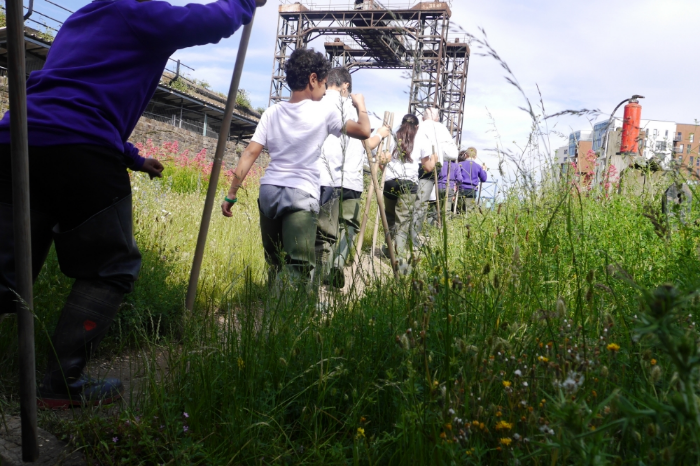 Into the Creek! (a trip to Deptford Creek, 15 June 2016)