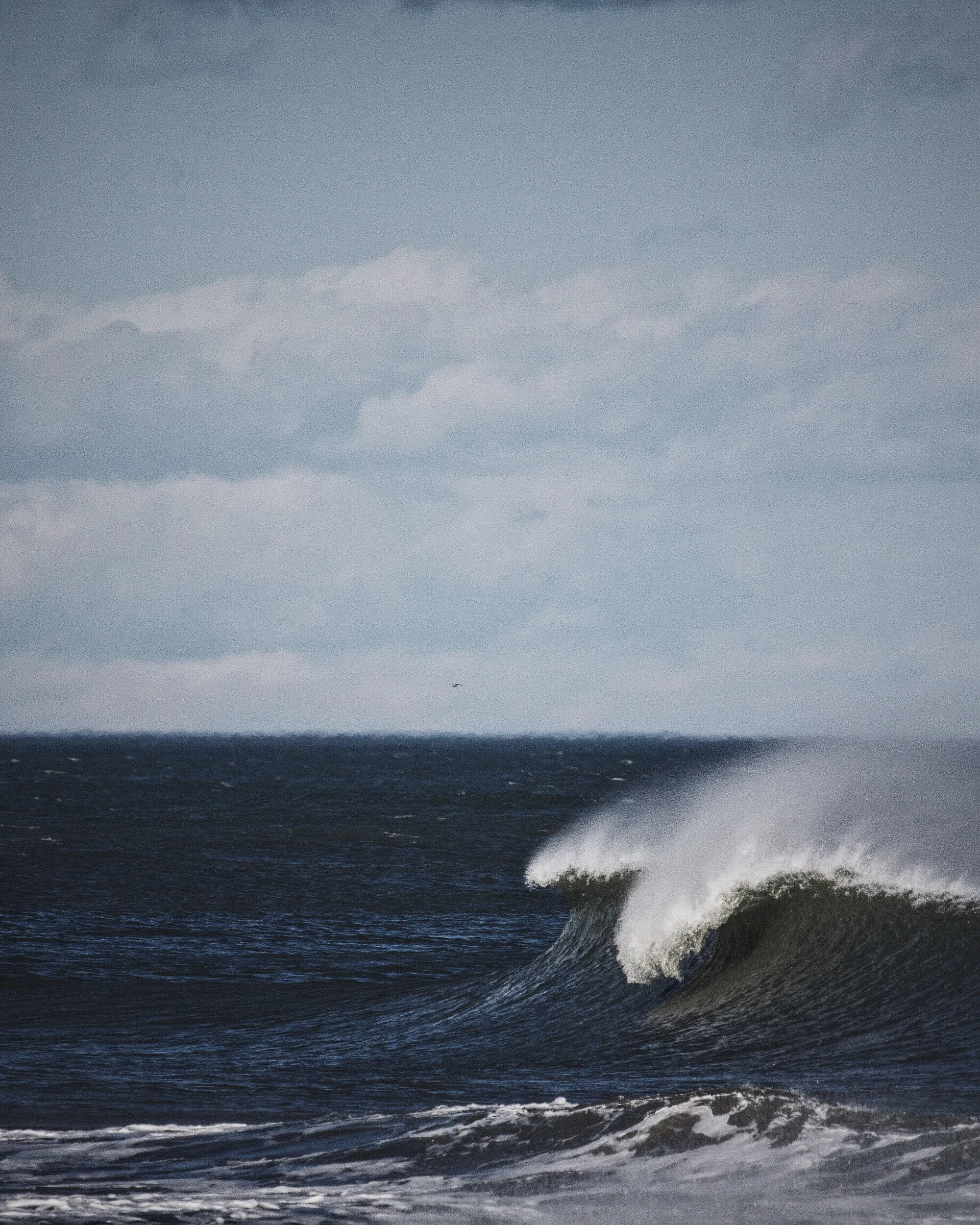 File Jan 22, 3 39 45 PM.jpeg